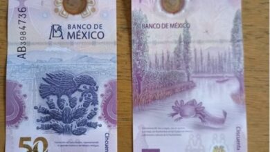 Photo of Ponen en circulación el billete de 50 pesos; ¡adiós Morelos!