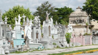 Photo of Inicia el mantenimiento en los cementerios de Mérida