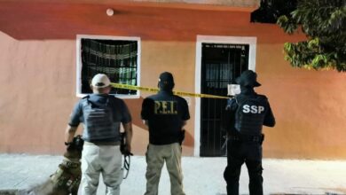 Photo of En cateo de SSP y FGE en predio de Kanasín, aseguran drogas y hay un detenido
