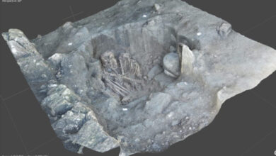Photo of INAH sigue dando conocer los descubrimientos arqueológicos en el Tren Maya
