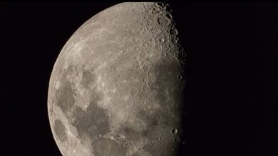Photo of México entra a la carrera para colonizar la Luna
