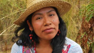Photo of Desaparece Irma Galindo, defensora indígena de bosques en Oaxaca