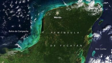 Photo of NASA capta sedimentos se arremolinan frente a la costa de Yucatán