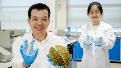 Photo of Científicos transforman sobras de frutas en vendajes antibacterianos