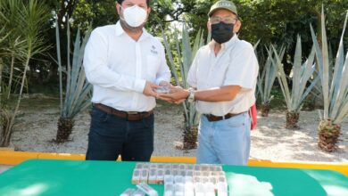 Photo of Con la entrega de abejas reina, apicultores yucatecos mejoran su producción