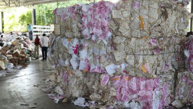 Photo of Destruyen 23.5 toneladas de documentación de proceso electoral