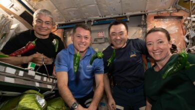 Photo of Astronautas cultivan chiles en el espacio y cenan tacos