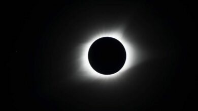 Photo of El eclipse solar de mañana solo podrá verse desde la Antártida