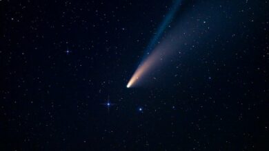 Photo of Se acerca el cometa Leonard a México y habrá lluvia de estrellas ¿Cómo y cuándo verlos?