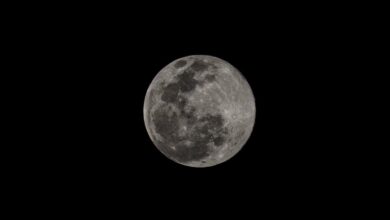 Photo of Esta noche observa el cielo habrá la Luna de lobo
