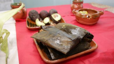 Photo of IMSS pide evitar reuniones por Día de la Candelaria y moderar el consumo de tamales