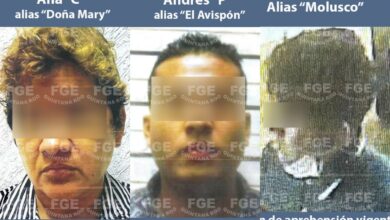 Photo of Fiscalía de QRoo identifica a presuntos autores intelectuales de asesinato de Federico Mazzoni