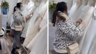 Photo of Novia destruye 32 vestidos tras cancelación de su boda