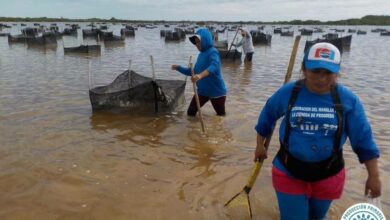 Photo of El cambio climático ya impacta en la Península: Estudio
