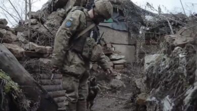 Photo of “Rambo”, el cachorro adoptado que cuida a los soldados ucranianos