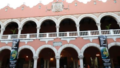 Photo of Ayuntamiento de Mérida se une a “La Hora del Planeta”