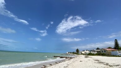Photo of Yucatán tiene cuatro playas con bacterias: Cofepris