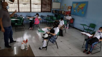 Photo of Aportaría Yucatán de sus recursos para alimentación de estudiantes