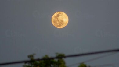 Photo of Llegó la Luna Llena de marzo o “Luna de gusanos”