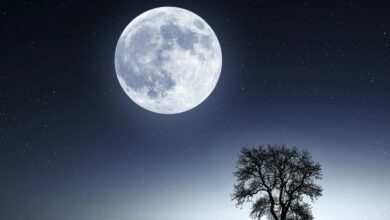 Photo of Hoy el cielo se iluminará con la primera Superluna   o Luna de gusano