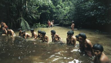 Photo of Cuatro indígenas de la Amazonia venezolana mueren a manos de militares por un conflicto sobre el wifi