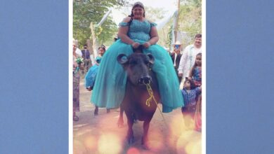 Photo of Quinceañera de Veracruz llega a su fiesta en búfalo