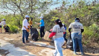 Photo of Suman esfuerzos para limpiar playas y manglares