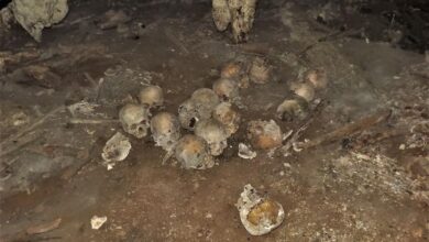 Photo of Descubren en cuevas 150 cráneos de víctimas de sacrificios humanos: INAH