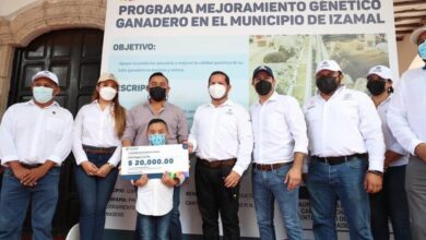 Photo of “Estamos transformando el campo yucateco con apoyos”: Mauricio Vila
