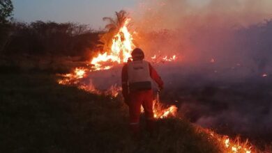 Photo of Piden a las y los yucatecos su apoyo para prevenir incendios