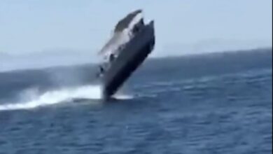 Photo of Choca embarcación con ballena jorobada en La Paz; hay 5 lesionados
