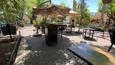 Photo of Ayuntamiento de Mérida retira mesas de restaurante en el parque de Santa Lucía
