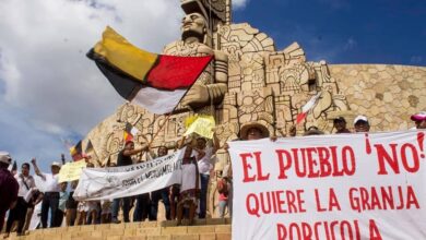 Photo of En Yucatán 21 pueblos mayas piden a AMLO cerrar las granjas porcícolas