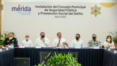 Photo of Ayuntamiento de Mérida vela por el bienestar de la ciudadanía