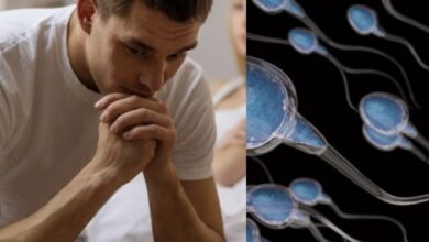 Photo of Covid altera niveles de proteínas vinculadas con fertilidad en hombres: estudio