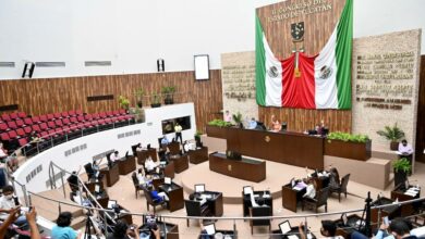 Photo of Proponen crear Ley de Protección a las Abejas en Yucatán 