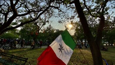 Photo of En Yucatán, la marihuana es la droga más consumida por jóvenes: CIJ