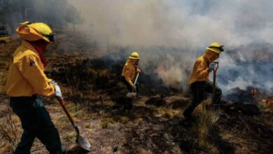 Photo of Suben de 72 a 81 incendios forestales activos en México