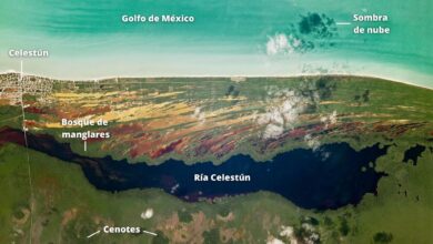 Photo of Los colores de Yucatán desde la Estación Espacial Internacional