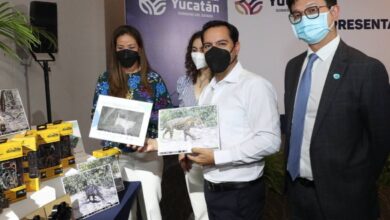Photo of Yucatán, pionero en América Latina en uso de tecnología para conservar el medio ambiente