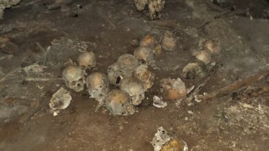 Photo of De ‘narcofosa’ a tesoro arqueológico milenario: el hallazgo de 150 cráneos en Chiapas