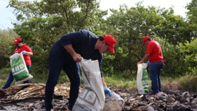 Photo of Recolectan más de 35 toneladas de basura en la ciénega de Chelem