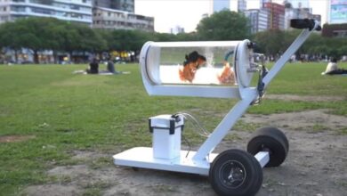 Photo of Youtuber de Taiwan crea coche-pecera especial para llevar a sus peces al parque