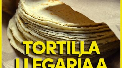 Photo of Kilo de tortilla llegaría a 30 pesos en Yucatán