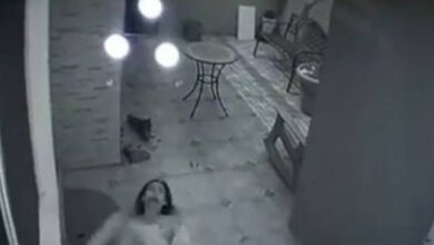 Photo of «Fue una pesadilla»: influencer Pamela Carbajal denuncia agresión de su expareja