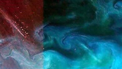 Photo of Identifican desde el espacio una fuga de metano en altamar