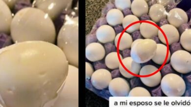 Photo of Olvida los huevos dentro del auto en Mexicali y ¡terminan cocidos por el calor!