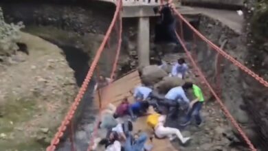 Photo of Se desploma puente colgante; alcalde de Cuernavaca, entre los heridos