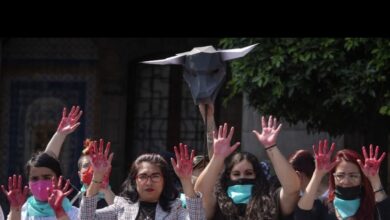 Photo of Frenan de manera definitiva las corridas de toros en la Plaza México