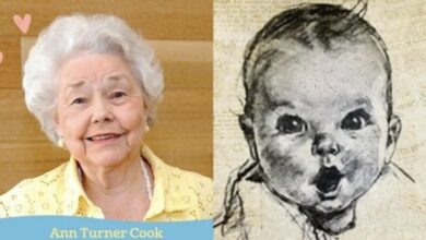 Photo of Ann Turner Cook, la bebé Gerber original, muere a los 95 años